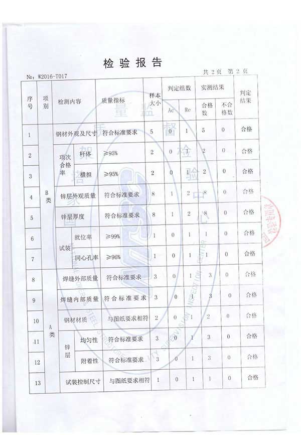 检测报告2